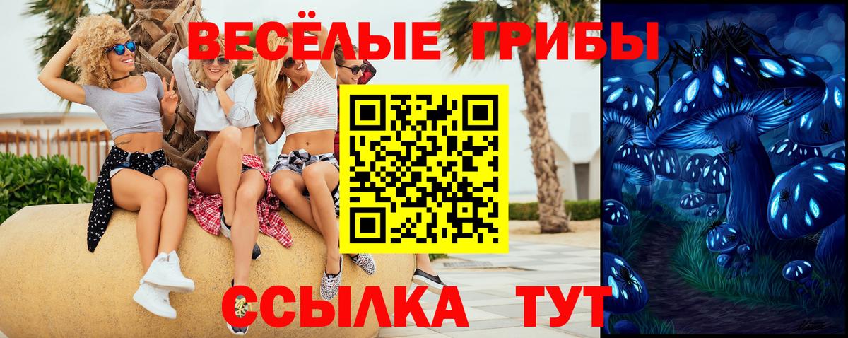 Галлюциногенные грибы мухоморы Воронеж