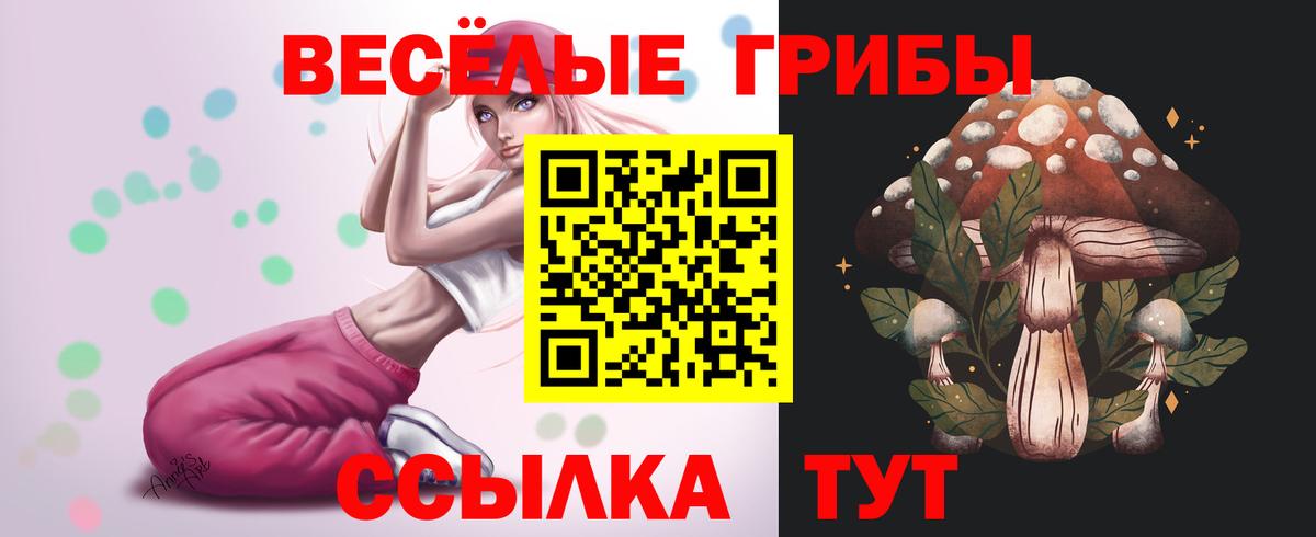 Псилоцибиновые грибы GOLDEN TEACHER  Вход с VPN  Воронеж  купить   Псилоцибиновые грибы ЛСД 